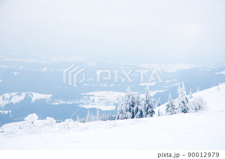 Carpathian mountains, Ukraine. Beautiful winter landscape. The forrest ist covered with snow. 90012979