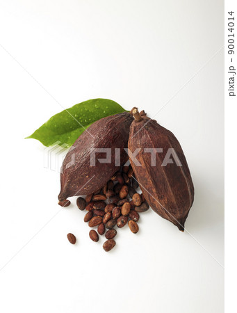 Cocoa pods with Cocoa leave and seeds 90014014