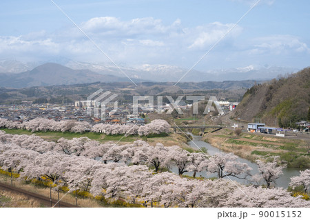 船岡城址公園からの満開の桜並木の眺め 船岡城址公園からの満開の桜並木の眺め 90015152