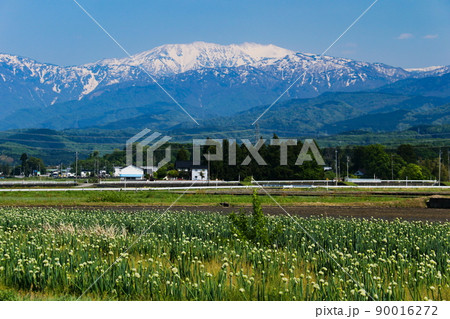 富山県富山市　富山平野から　剣立山連峰　薬師岳の絶景　 90016272