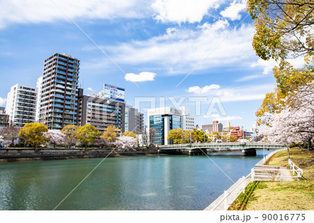 河川の多い広島市街地の風景です。京橋川の西方面のビル街です。広島県 90016775