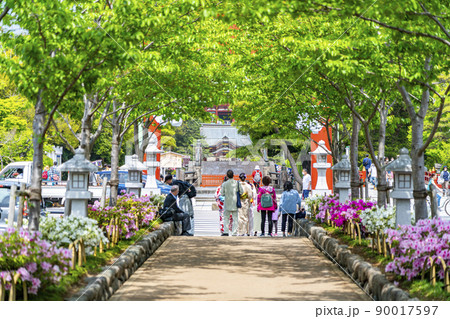 【神奈川県】爽やかな新緑が綺麗な鎌倉の段葛 【神奈川県】爽やかな新緑が綺麗な鎌倉の段葛 90017597