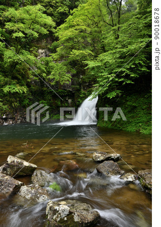 千手滝(赤目四十八滝) 【三重県名張市】 千手滝(赤目四十八滝) 【三重県名張市】 90018678