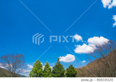 道の駅奈良井木曽五木と青空 道の駅奈良井木曽五木と青空 90019320