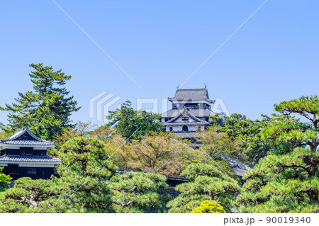 島根県松江市　晴天の国宝松江城 90019340