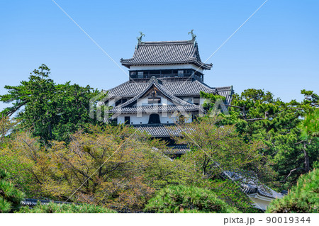 島根県松江市　晴天の国宝松江城 90019344