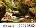 渓谷の清流 90019562