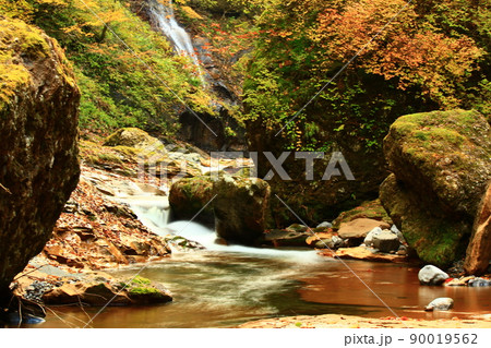 渓谷の清流 渓谷の清流 90019562