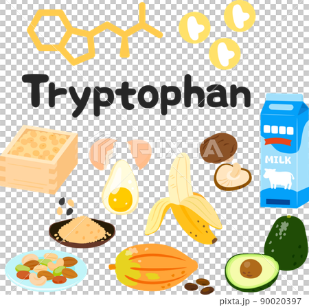 Illustration set of foods containing tryptophan 90020397