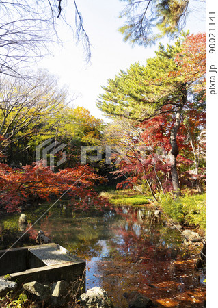 秋の駒場野公園 秋の駒場野公園 90021141