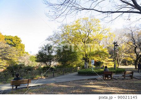 秋の駒場野公園 秋の駒場野公園 90021145