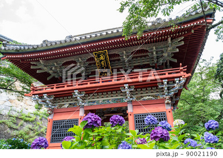雨引観音のあじさい 雨引観音のあじさい 90021190