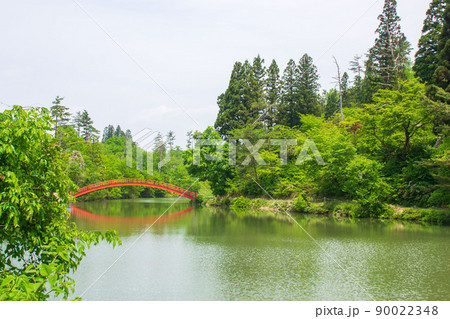 秋田県 横手公園の牛沼 90022348