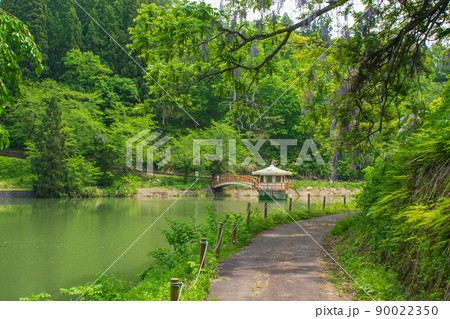 秋田県 横手公園の牛沼 秋田県 横手公園の牛沼 90022350