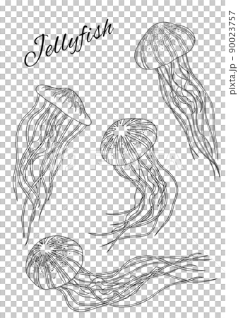 くらげのペン画セットのイラスト素材 [90023757] - PIXTA