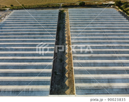 Aerial drone view of huge areas greenhouse for growing vegetables. Greenhouse farming, agriculture industry. Flying over large industrial greenhouses at sunset. 90023835