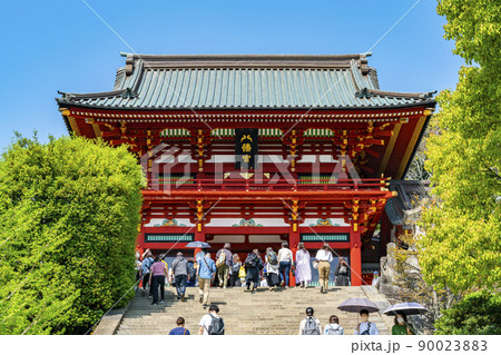 【神奈川県】爽やかに晴れた鎌倉の鶴岡八幡宮 【神奈川県】爽やかに晴れた鎌倉の鶴岡八幡宮 90023883