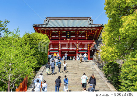 【神奈川県】爽やかに晴れた鎌倉の鶴岡八幡宮 90023886