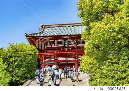 【神奈川県】爽やかに晴れた鎌倉の鶴岡八幡宮 90023893
