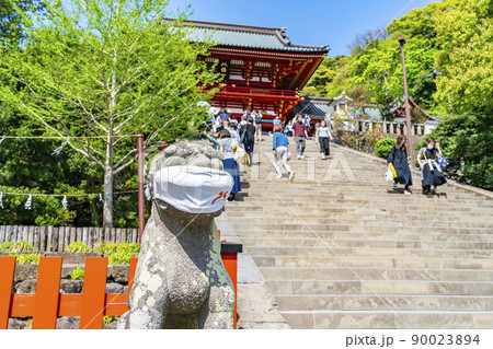 【神奈川県】鎌倉の鶴岡八幡宮にいるマスクをした狛犬 【神奈川県】鎌倉の鶴岡八幡宮にいるマスクをした狛犬 90023894