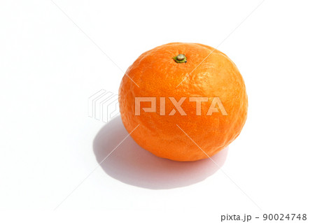 柑橘類（なつみ） 90024748