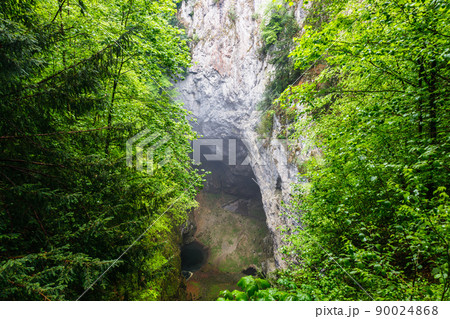Macocha Gorge or Macocha Abyss. Sinkhole in the Moravian Karst Punkva caves system 90024868