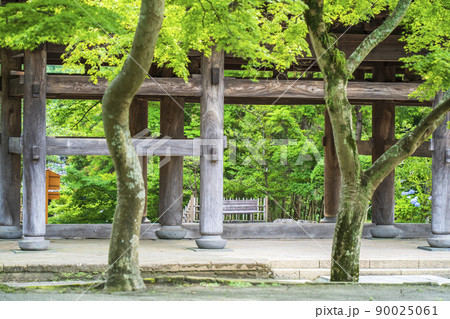 円覚寺の山門【神奈川県・鎌倉市】 円覚寺の山門【神奈川県・鎌倉市】 90025061