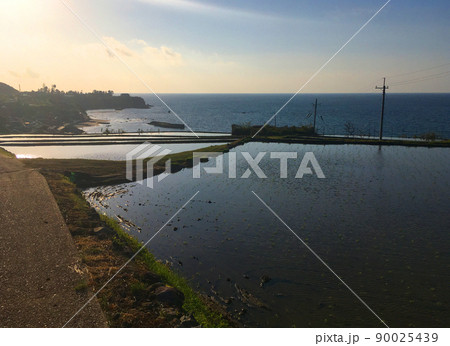 京都丹後袖志の棚田03 90025439