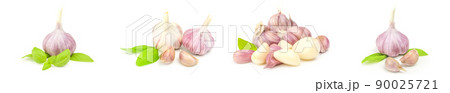 Set of Garlic isolated on a white background 90025721