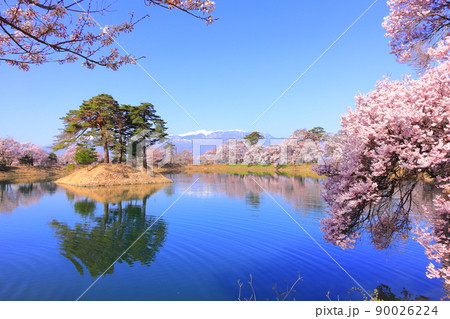 長野県伊那市　六道の堤の桜 90026224
