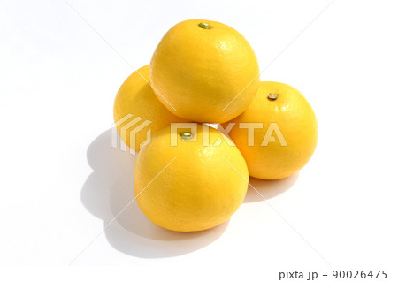柑橘類（日向夏） 90026475
