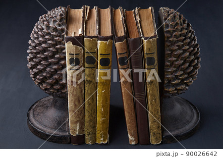 Old dilapidated books stand between holders Old dilapidated books stand between holders 90026642
