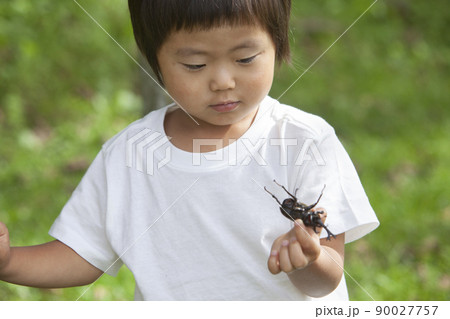 昆虫採集をする子ども 90027757