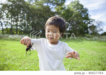 昆虫採集をする子ども 90027764