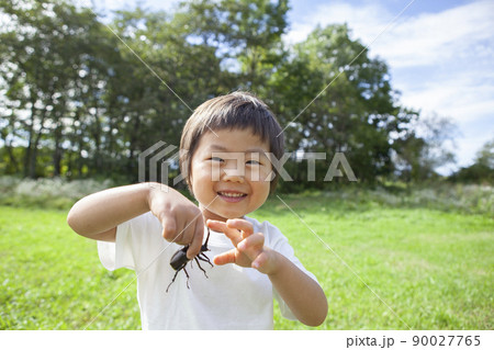 昆虫採集をする子ども 昆虫採集をする子ども 90027765