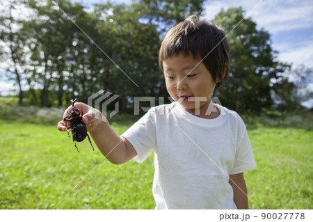 昆虫採集をする子ども 昆虫採集をする子ども 90027778