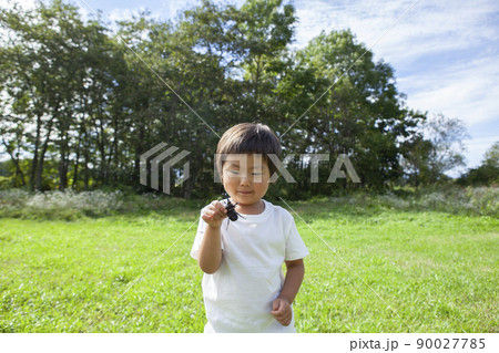昆虫採集をする子ども 昆虫採集をする子ども 90027785