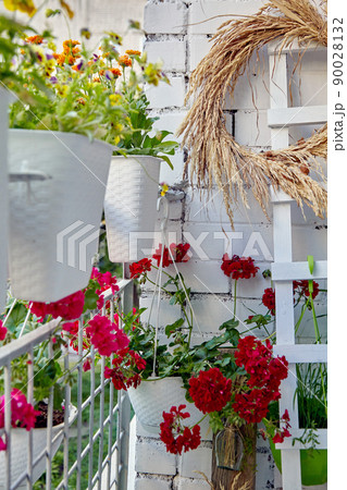 Flowering plants in pots on the balcony patio Flowering plants in pots on the balcony patio 90028132