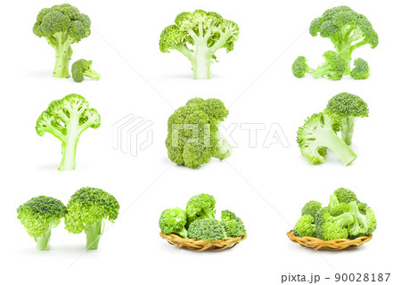 Set of fresh green broccoli Set of fresh green broccoli 90028187