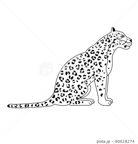 Vector flat sitting leopard Vector flat sitting leopard 90028274