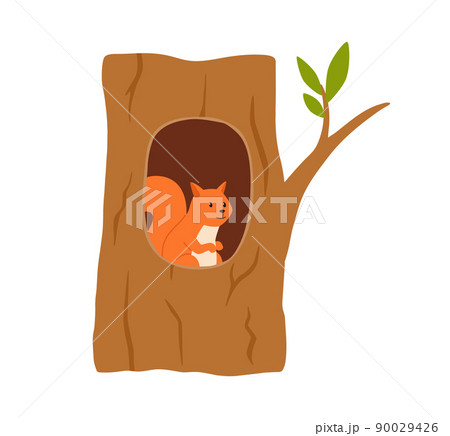 Squirrel is sitting in a hollow tree, vector flat illustration on a white background. 90029426