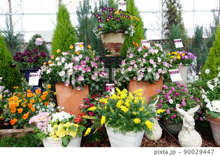 グリーンプラザ グリーンプラザ 90029447