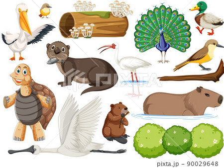 Different kinds of wild animals collection 90029648