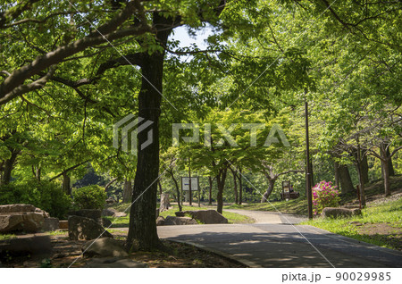 岸根公園　神奈川県横浜市港北区岸根町 90029985