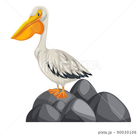 A pelican with nature element on white background 90030106