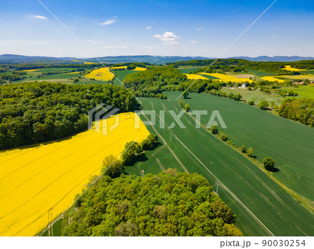 Aerial view of yellow rape fields in spring, Poland 90030254