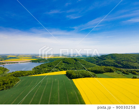 Aerial view of yellow rape fields in spring, Poland Aerial view of yellow rape fields in spring, Poland 90030258