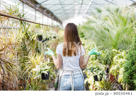 Woman gardener in apron caring potted plant in greenhouse surrounded by plants and pots. Home gardening, love of plants and care. Small business. Woman gardener in apron caring potted plant in greenhouse surrounded by plants and pots. Home gardening, love of plants and care. Small business. 90030461