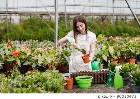 A young woman transplants plants and takes care of flowerpots in a greenhouse. The concept of growing plants. Home gardening, love of plants and care. Small business. 90030473