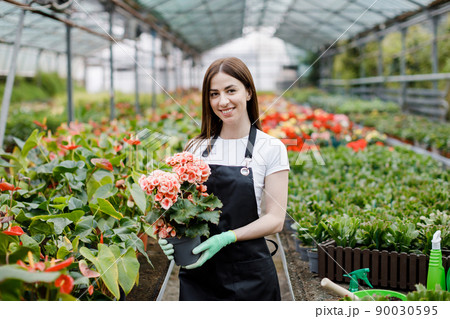Woman holds a pot of flowers in her hands, growing plants for sale, plant as a gift, flowers in a greenhouse, potted plant. Woman holds a pot of flowers in her hands, growing plants for sale, plant as a gift, flowers in a greenhouse, potted plant. 90030595